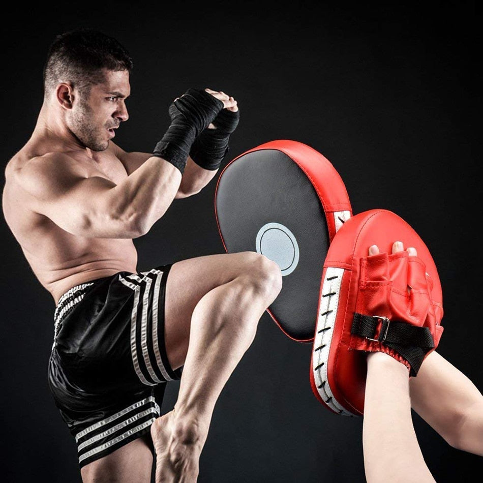 Kick Boxing Gloves Pad Punch