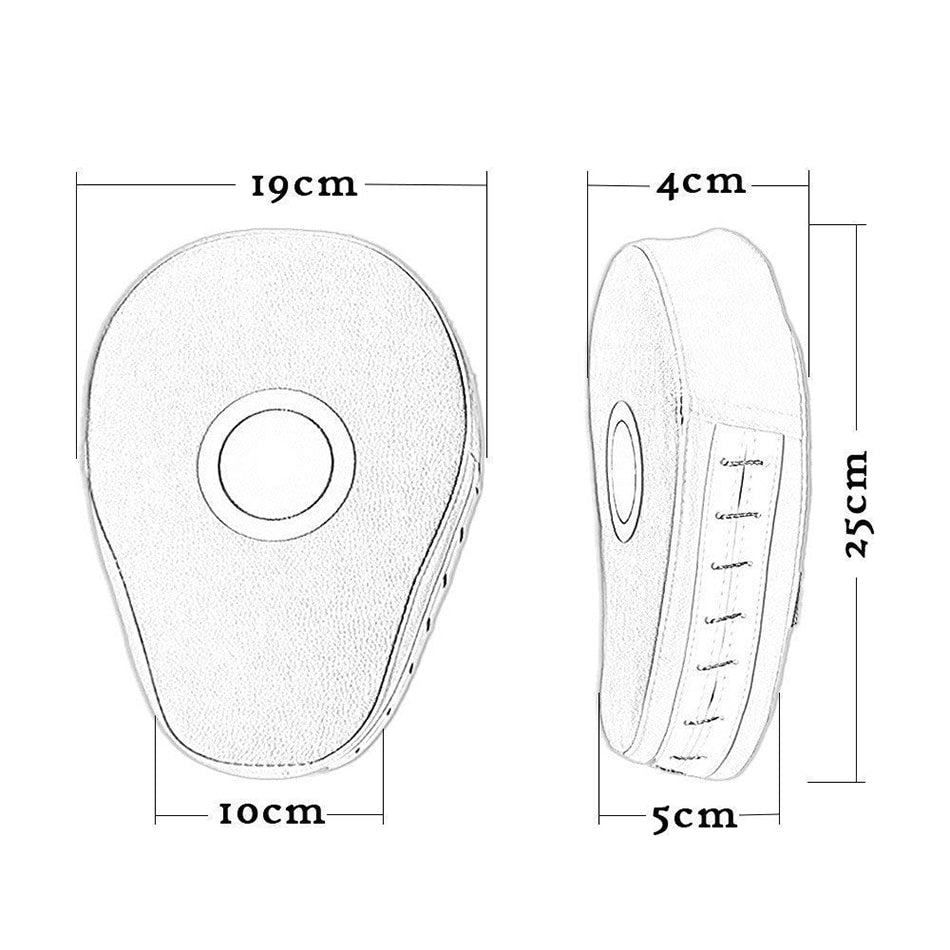 Kick Boxing Gloves Pad Punch